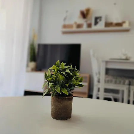 Locos 1, 200m Apartment Torrevieja