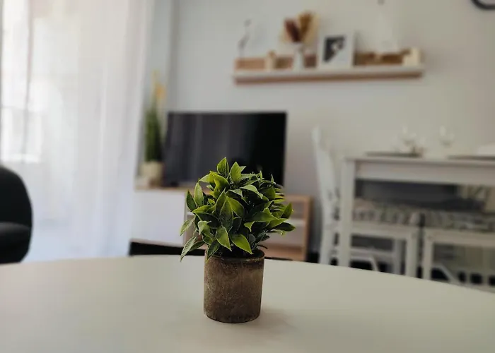 Locos 1, 200m شقة تورّيفيِخا